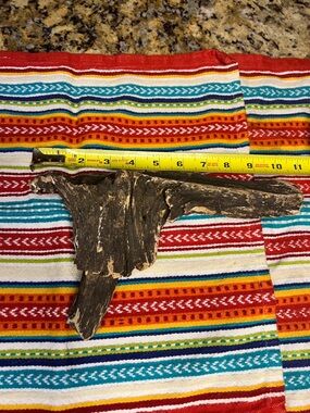 Natural Driftwood Aquarium & Terrarium Decor - Brown found on the James River